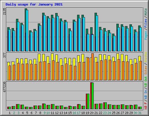 Daily usage for January 2021