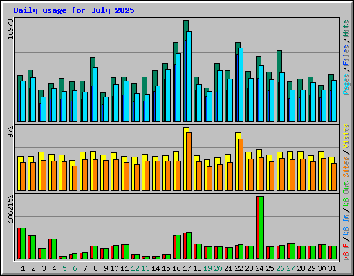 Daily usage for July 2025