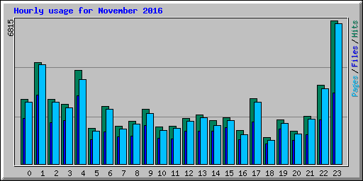 Hourly usage for November 2016