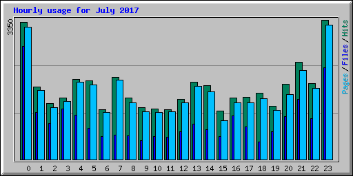 Hourly usage for July 2017