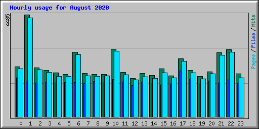 Hourly usage for August 2020