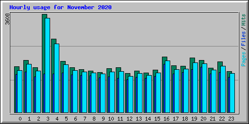 Hourly usage for November 2020