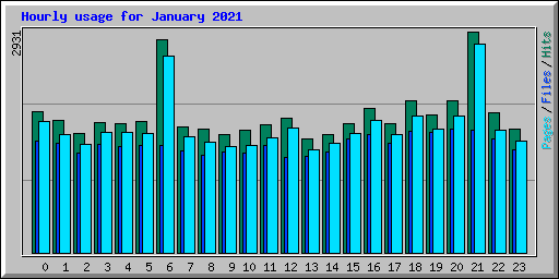 Hourly usage for January 2021