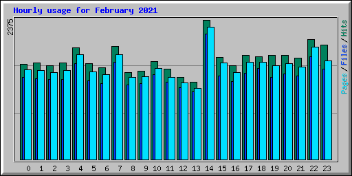 Hourly usage for February 2021