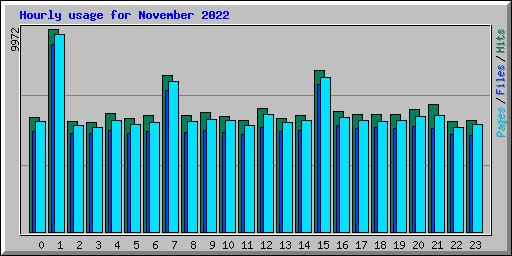 Hourly usage for November 2022
