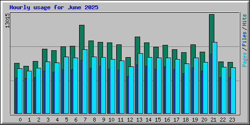 Hourly usage for June 2025