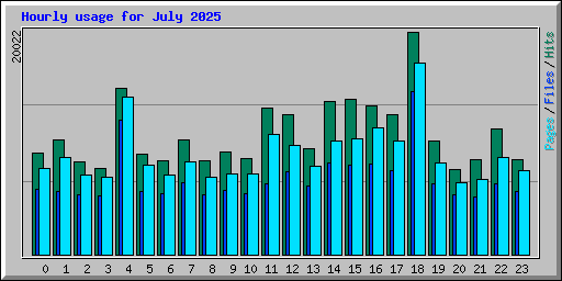 Hourly usage for July 2025