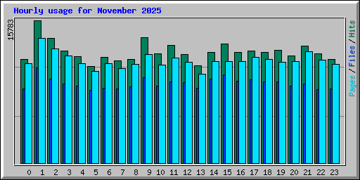 Hourly usage for November 2025